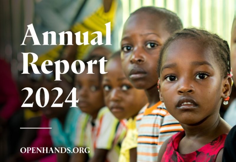 cover of 2024 annual report